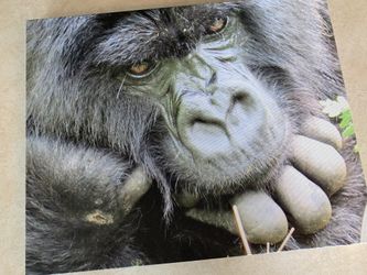 Gorilla print