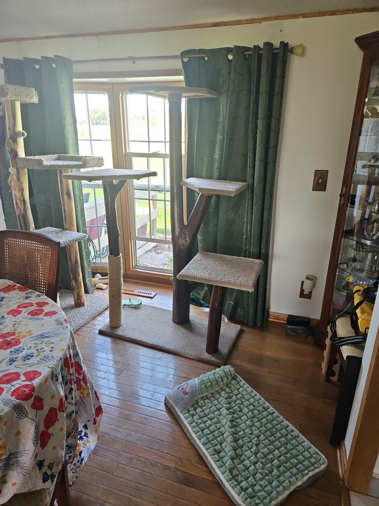 4 Platform Hard Wood Cat Tree With Scratching Post