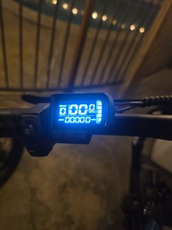 Adult e-bikes