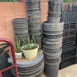 A Wonderful Amount Of Three Sized container plant buckets