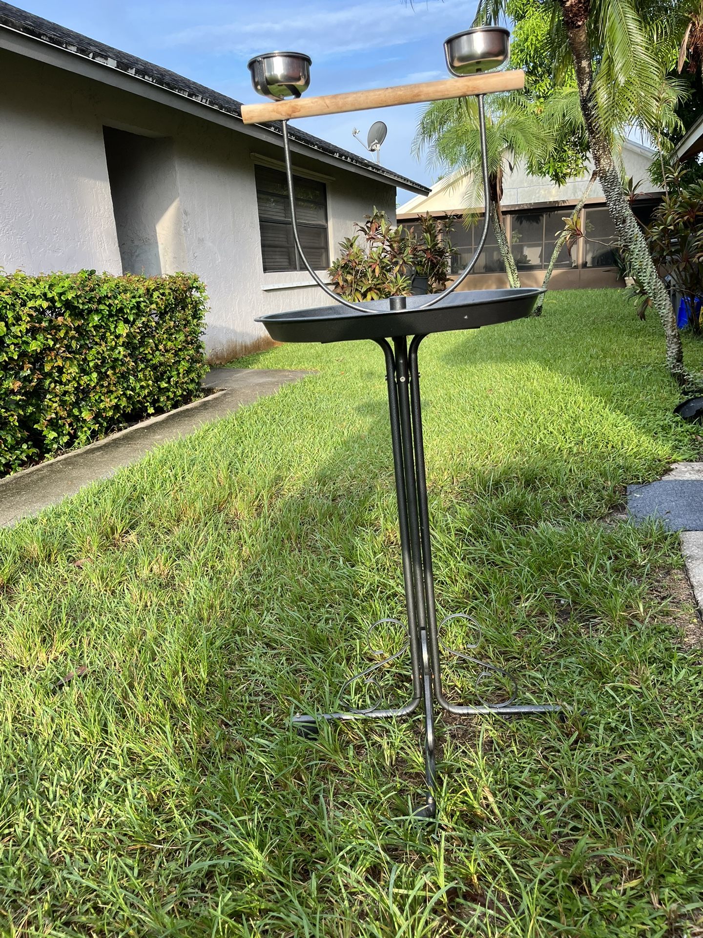 Parrot Bird Stand / Perch 