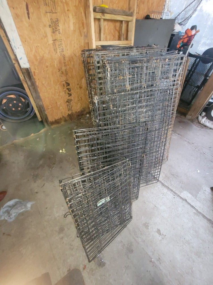 Animal Cage Jualas