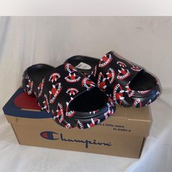 Champion Slides