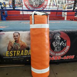 Punching Bag 