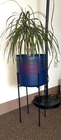 MCM Plant Stand WITH PLANT!!!! L@@K