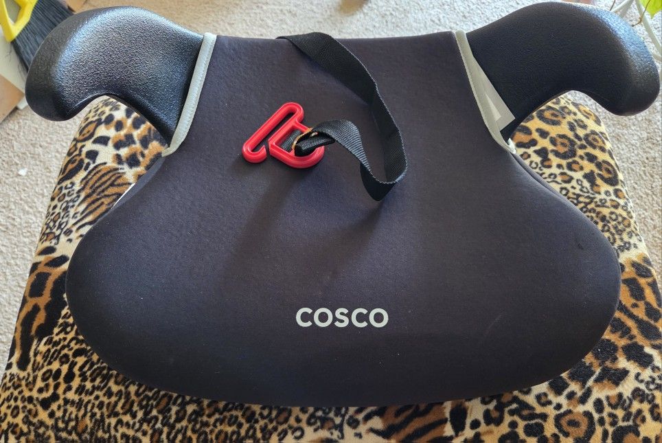 Backless Booster Car Seat