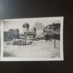 Rare Antique Photos from Cairo and Moscow(1940s)