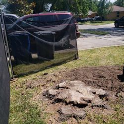 Stump Grinding Molemos Troncos 