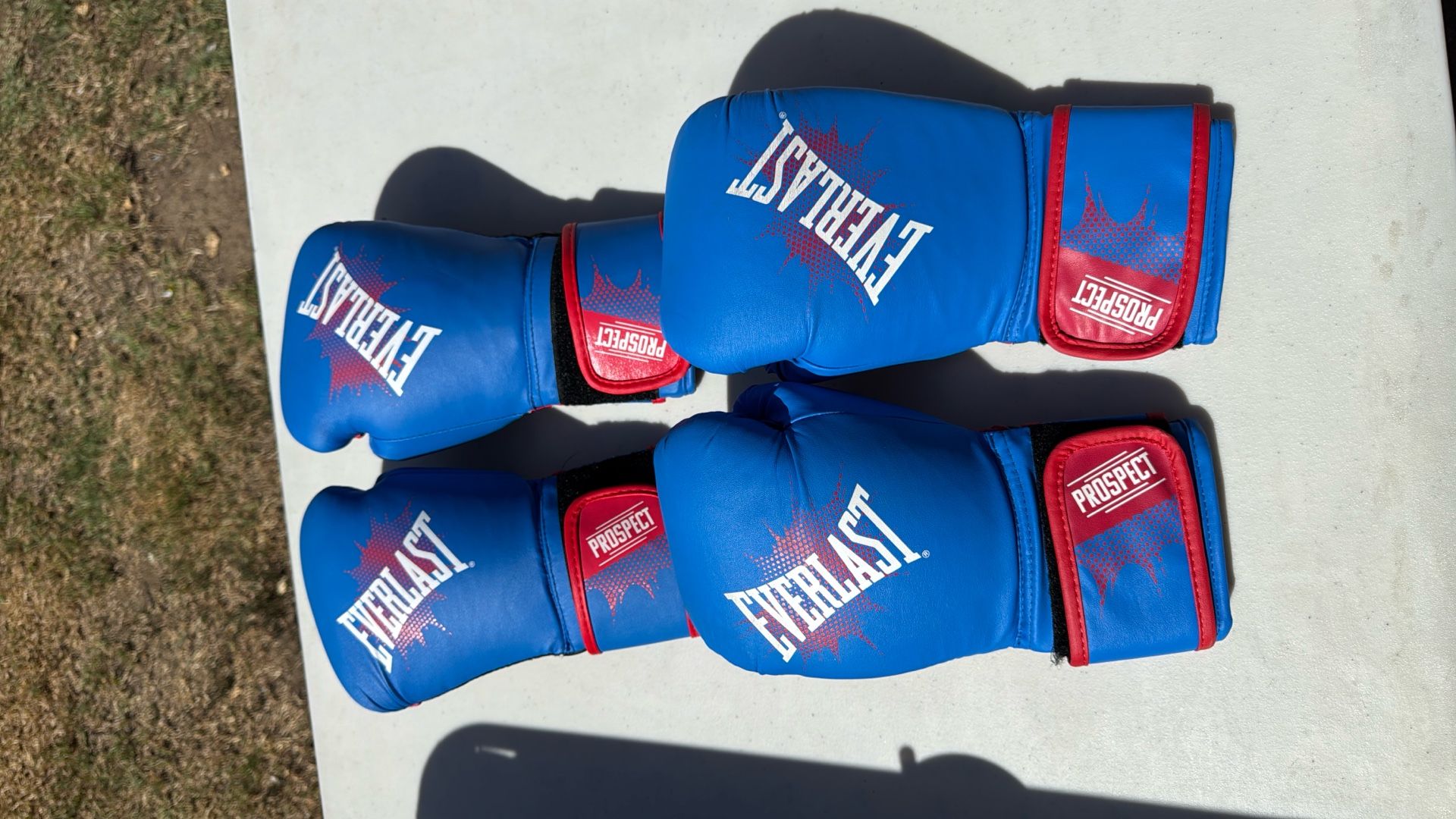 Everlast Youth Boxing Gloves