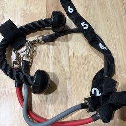 Tricep Rope Cable Attachment