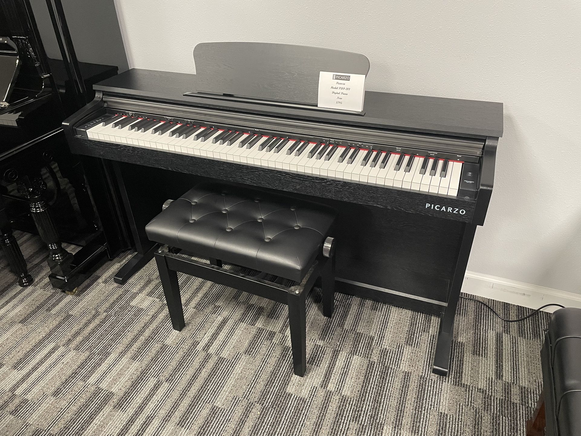 Picarzo PDP-201 Digital Piano - New