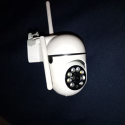Motion Sensor Camera