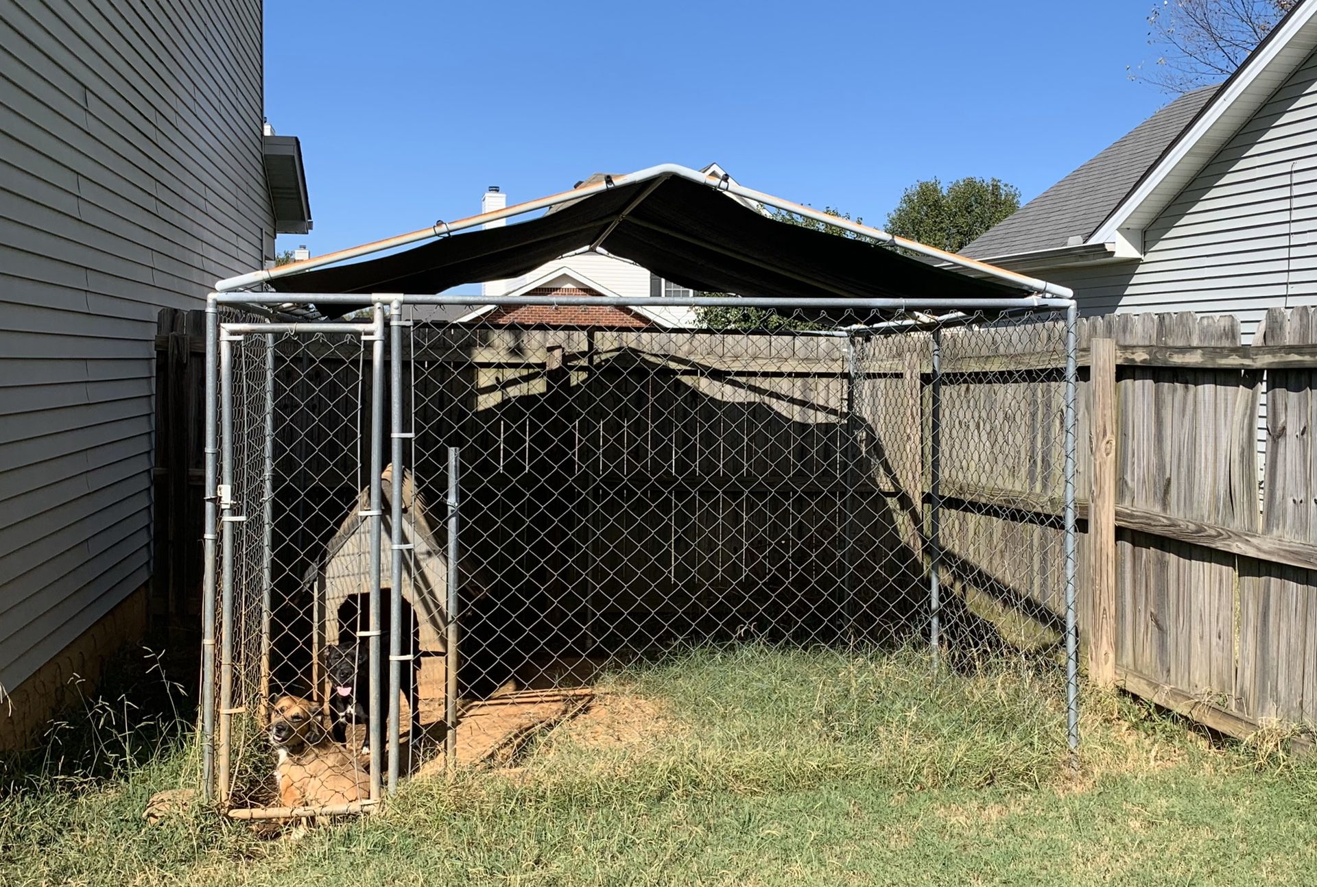 Dog Kennel with roof