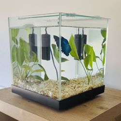 3 Gallon Fish Aquarium
