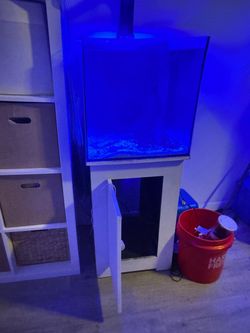 Fish tank 36gal
