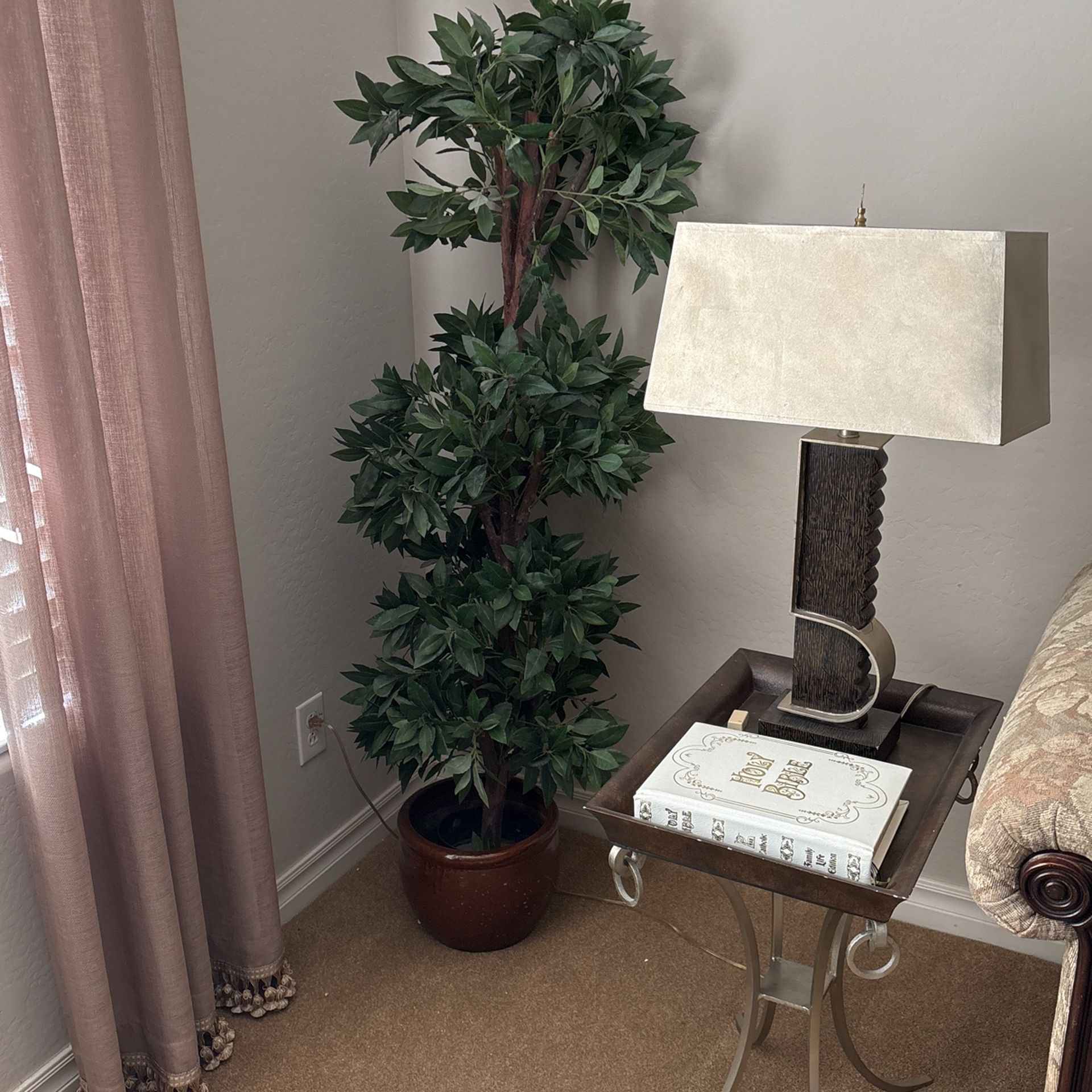 Topiary Silk tree
