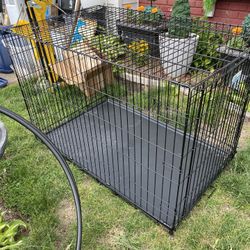 Large iCrate Dog crate