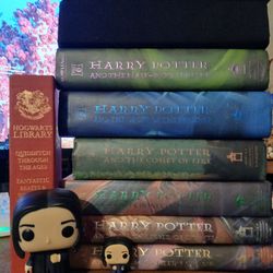 Harry Potter BOOK Bundle