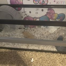 Hamster Cage 