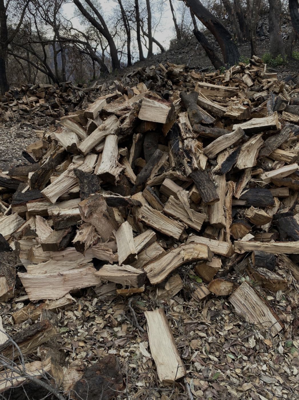 Seasoned Oak Firewood