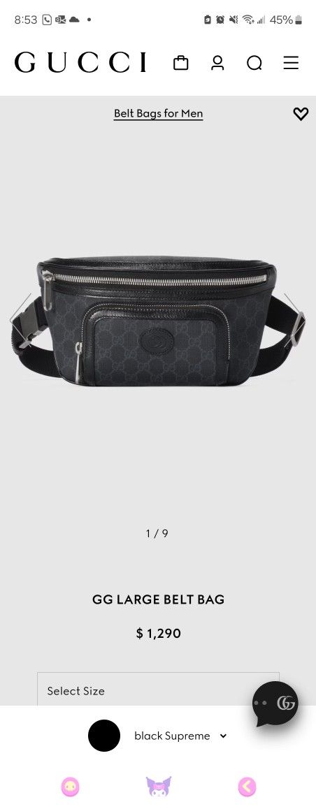 Gucci Bag