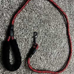 5ft Dog Leash with Comfortable Padded Handle and Highly Reflective Threads Red