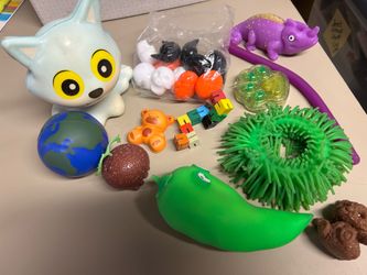 Assorted Fidget and Sensory Toy Lot