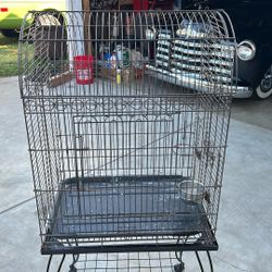 Bird Cage 