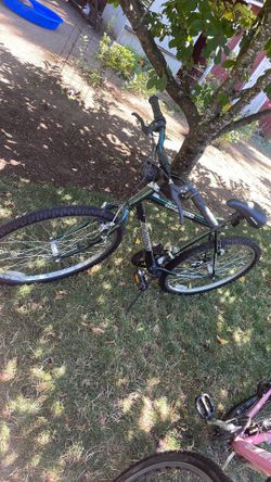 Bike/mtn bike