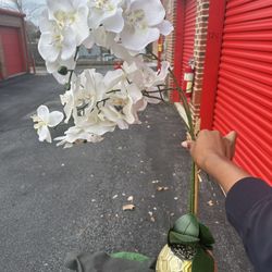 Flower Pot