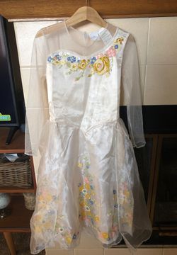 Cinderella costume dress