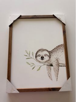 Sloth picture