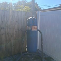 Everlasting Punching Bag With Stan Set And 350 Pounds Wates Sale Or Trade For A Electric Bike