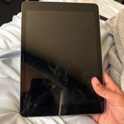 iPad 