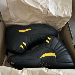 Air Jordans 12 Retro 