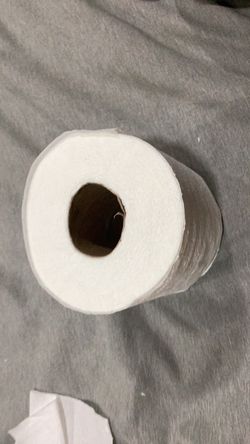 Partial Roll of Toilet Paper