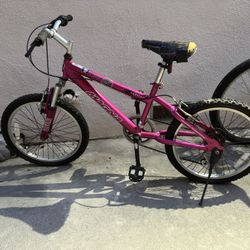 20” Bike Pink $20