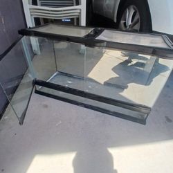 aquarium 