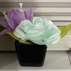 Flower Pot