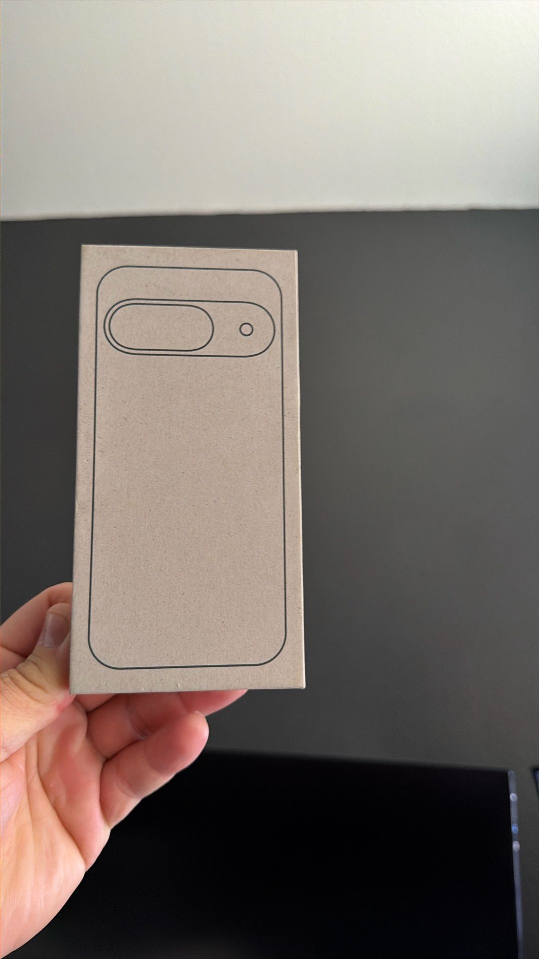 Google pixel 9 (unlocked)