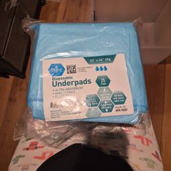 25 Pack Doggie Potty Pads