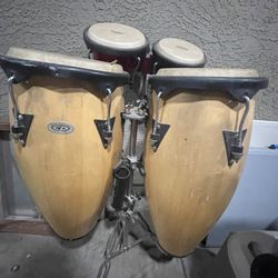 Congas 