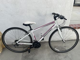 Nishiki Bike