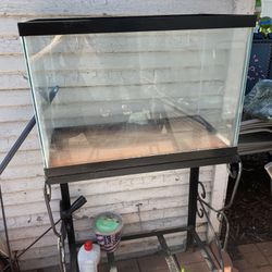 Aquarium Reptile, Fish Tank W/ Stand - Good Condition! - Pickup ONLY!