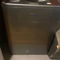 Looking For A Home