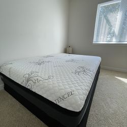 Mattress, Queen Size, White/Black, From Mor. Box Spring Also On Sale