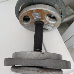 Bench Press Weight And Bar