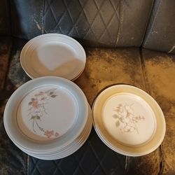 Glass Plates 