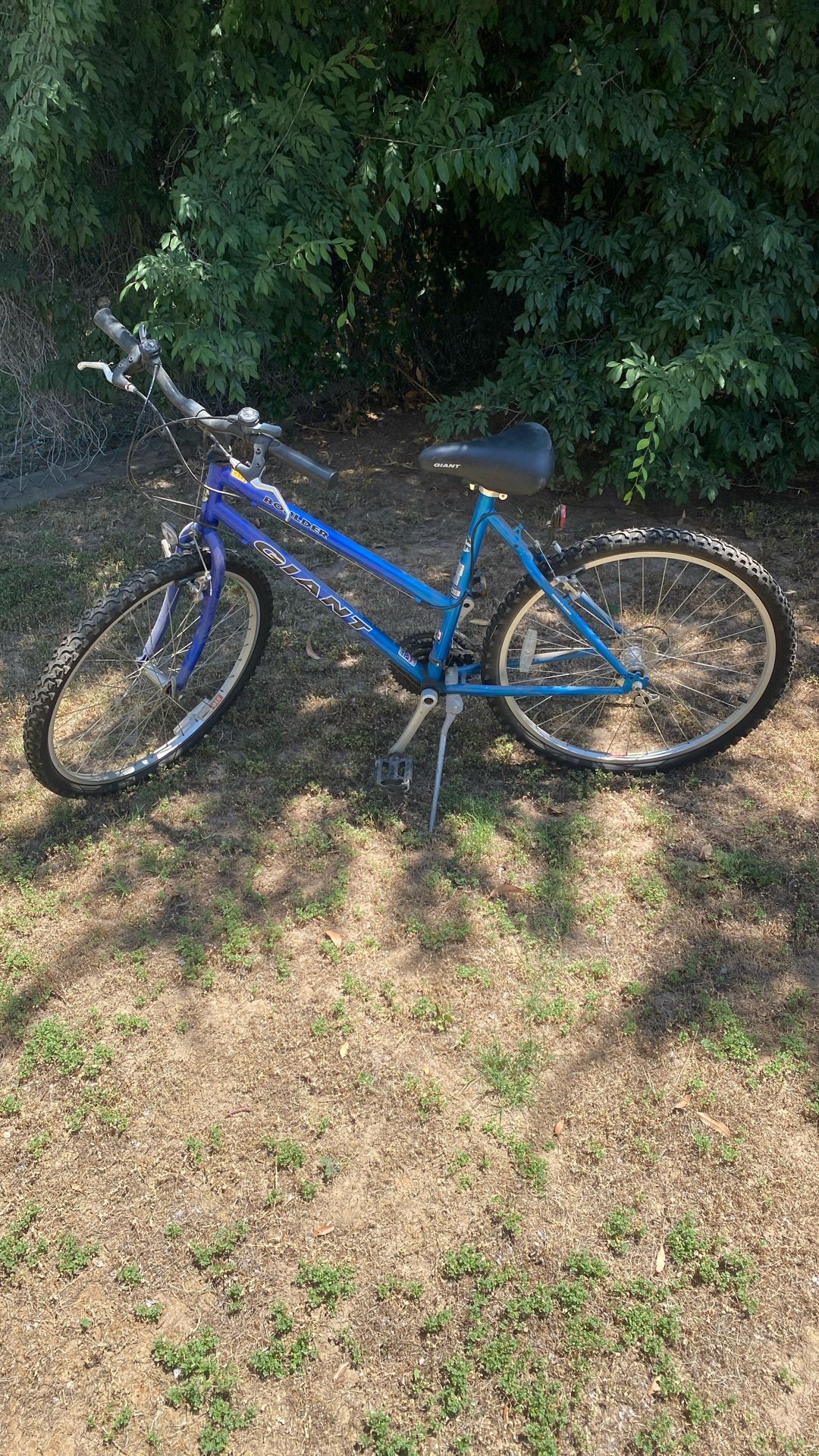 Giant Boulder 19.5 Inch Mountain Bike
