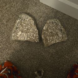 Fossileferous (Fossil Soup)